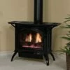 Empire Gas Direct Vent Stove - Medium - DVP30CC -BBQDIRECT Sales 16280 new