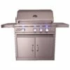 RCS Cutlass Pro 30-Inch Freestanding Gas Grill With Rear Infrared Burner & Blue LED Lights - RON30A/RONMC/RON30ALP -BBQDIRECT Sales 29612