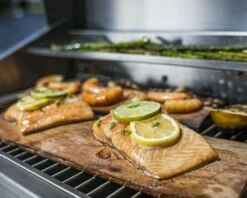 TEC Grills 44-Inch Patio FR Grill With Cabinet - PFR2xxCABS -BBQDIRECT Sales all cooking food 1 2