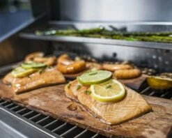 TEC Grills 44-Inch Sterling Patio FR Built-In Grill - STPFR2T -BBQDIRECT Sales all cooking food 2 1