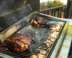 TEC Grills G-Sport Grill With Cart Option -BBQDIRECT Sales all smoking turkeys 1