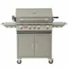Bull 38" Grill Cart Complete Brahma 5 Burner Lights Rotis & Rotis Burner - 55000/1 -BBQDIRECT Sales anguscart4700017506099 2 1
