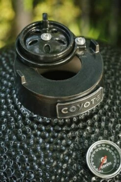 Coyote Asado Ceramic Freestanding Kamado Grill - C1CHCS-FS -BBQDIRECT Sales asado kamado exhaust