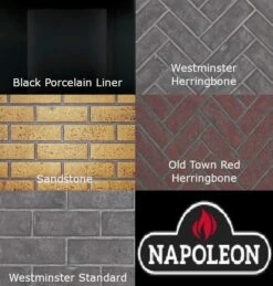 Napoleon Ascent B42 Gas Direct Vent 42 Inch Fireplace - Open Box -BBQDIRECT Sales ascent liners