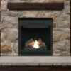 Napoleon Ascent B30 Gas Direct Vent 30 Inch Fireplace