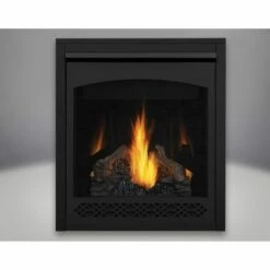 Napoleon Ascent B30 Gas Direct Vent 30 Inch Fireplace -BBQDIRECT Sales b30 thumbnail 1