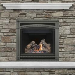 Napoleon Ascent B36 Gas Direct Vent 36 Inch Fireplace -BBQDIRECT Sales b36 main 1