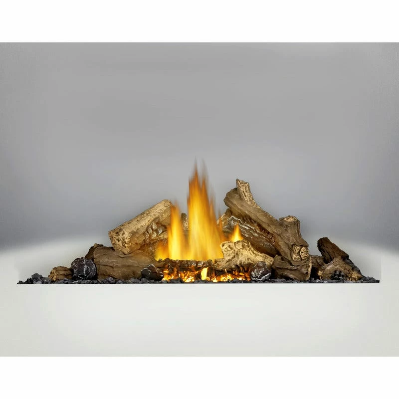 Napoleon Ascent 46 Inch Gas Direct Vent Fireplace 9 Napoleon Ascent 46 Inch Gas Direct Vent Fireplace - Image 7
