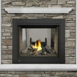 Napoleon Ascent See Thru 45 Inch Gas Fireplace