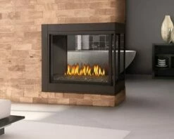 Napoleon Ascent⢠Multi-View Gas Direct Vent Fireplace - Open Box