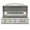 Blaze LTE 40-Inch 5-Burner Built-In Gas Grill With Rear Infrared Burner & Grill Lights - BLZ-5LTE2 -BBQDIRECT Sales blz 5lte2 ng 1