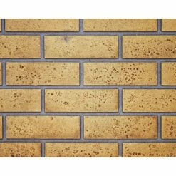 Napoleon Ascent 46 Inch Gas Direct Vent Fireplace 35 Napoleon Ascent 46 Inch Gas Direct Vent Fireplace -BBQDIRECT Sales brick sandstone 2