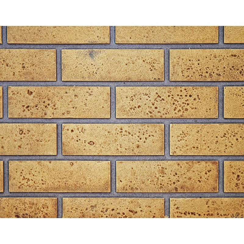 Napoleon Ascent 46 Inch Gas Direct Vent Fireplace 16 Napoleon Ascent 46 Inch Gas Direct Vent Fireplace - Image 14