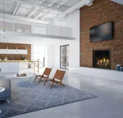 Napoleon Elevation X 42 Direct Vent Gas Fireplace - EX42 -BBQDIRECT Sales capture1 3