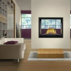 Napoleon High Definition 81 See Thru Direct Vent Gas Fireplace - HD81NT-1 21 Napoleon High Definition 81 See Thru Direct Vent Gas Fireplace - HD81NT-1 -BBQDIRECT Sales capture2 1 1