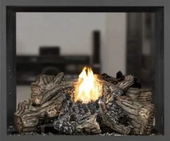 Napoleon High Definition 81 See Thru Direct Vent Gas Fireplace - HD81NT-1 22 Napoleon High Definition 81 See Thru Direct Vent Gas Fireplace - HD81NT-1 -BBQDIRECT Sales capture8 1