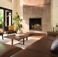 Napoleon Elevation X 42 Direct Vent Gas Fireplace - EX42 -BBQDIRECT Sales capture 7