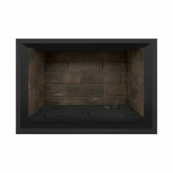 Napoleon Gas Direct Vent Fireplace Insert - GDIX3 -BBQDIRECT Sales dbpi3ns
