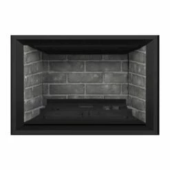 Napoleon Oakville GDIX4 Gas Direct Vent Fireplace Insert -BBQDIRECT Sales dbpi4ws