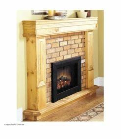Dimplex 23-Inch Electric Fireplace Insert - DFI2309 -BBQDIRECT Sales dfi23trimx