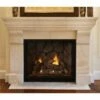 Empire Tahoe Clean-Face Direct-Vent Luxury Fireplace With Remote, Blower, And Light Kit- 36" - DVCX36FP91