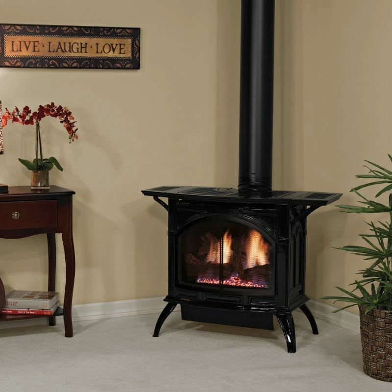 Empire Gas Direct Vent Stove - Medium - DVP30CC 4 Empire Gas Direct Vent Stove - Medium - DVP30CC - Image 2