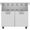 Aspire By Hestan Double Door Tower Cart For 36-Inch Gas Grills - ECD36 -BBQDIRECT Sales ecd36 cart