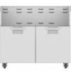 Aspire By Hestan Double Door Tower Cart For 42-Inch Gas Grills - ECD42 -BBQDIRECT Sales ecd42 1