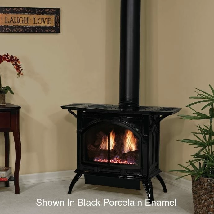 Empire Gas Direct Vent Stove - Medium - DVP30CC 5 Empire Gas Direct Vent Stove - Medium - DVP30CC - Image 3