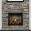Napoleon Elevation X 36 Direct Vent Gas Fireplace - EX36 -BBQDIRECT Sales ex36 black ledgestone