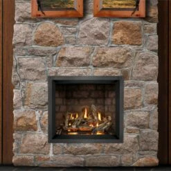 Napoleon Elevation X 36 Direct Vent Gas Fireplace - EX36 -BBQDIRECT Sales ex36 zen newport