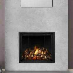 Napoleon Elevation X 42 Direct Vent Gas Fireplace - EX42