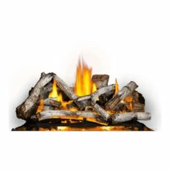 Napoleon Elevation X 42 Direct Vent Gas Fireplace - EX42 -BBQDIRECT Sales ex42 logs birch 1