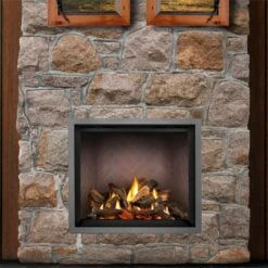 Napoleon Elevation X 42 Direct Vent Gas Fireplace - EX42 -BBQDIRECT Sales ex42 red silver