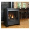 Kingsman Gas Direct Vent Stove 2 Kingsman Gas Direct Vent Stove -BBQDIRECT Sales fdv451