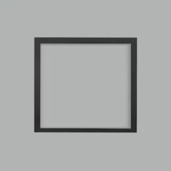 Napoleon Altitude X 42 Direct Vent Gas Fireplace - AX42 -BBQDIRECT Sales finish trim black