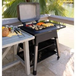 Everdure FORCE Gas Barbeque W/ Stand 18 Everdure FORCE Gas Barbeque W/ Stand -BBQDIRECT Sales force lifestyle