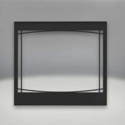 Napoleon Ascent B42 Gas Direct Vent 42 Inch Fireplace - Open Box -BBQDIRECT Sales front zen 2