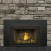 Napoleon Gas Direct Vent Fireplace Insert - GDI3 2 Napoleon Gas Direct Vent Fireplace Insert - GDI3 -BBQDIRECT Sales gdi3n 1 1