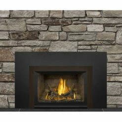 Napoleon Gas Direct Vent Fireplace Insert - GDI3 -BBQDIRECT Sales gdi3n bronze 1 1