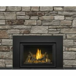 Napoleon Gas Direct Vent Fireplace Insert - GDI3 -BBQDIRECT Sales gdi3n no face 1 1