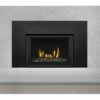 Napoleon Gas Direct Vent Fireplace Insert - GDIG3 2 Napoleon Gas Direct Vent Fireplace Insert - GDIG3 -BBQDIRECT Sales gdig3 1
