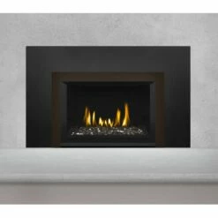 Napoleon Gas Direct Vent Fireplace Insert - GDIG3 -BBQDIRECT Sales gdig3 copper