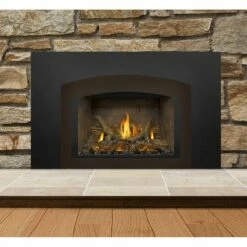 Napoleon Gas Direct Vent Fireplace Insert - GDIX3 -BBQDIRECT Sales gdix3n