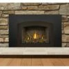 Napoleon Gas Direct Vent Fireplace Insert - GDIX3 -BBQDIRECT Sales gdix3n 1