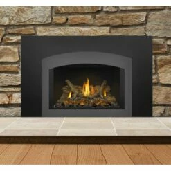 Napoleon Gas Direct Vent Fireplace Insert - GDIX3 -BBQDIRECT Sales gdix3n charcoal arch