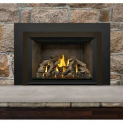 Napoleon Oakville GDIX4 Gas Direct Vent Fireplace Insert -BBQDIRECT Sales gdix4n