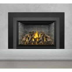 Napoleon Oakville GDIX4 Gas Direct Vent Fireplace Insert -BBQDIRECT Sales gdix4n charcoal