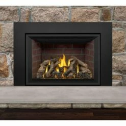 Napoleon Oakville GDIX4 Gas Direct Vent Fireplace Insert -BBQDIRECT Sales gdix4n no face