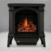 Napoleon GDS25N Gas Stove - 25" 1 Napoleon GDS25N Gas Stove - 25" -BBQDIRECT Sales gds25 black
